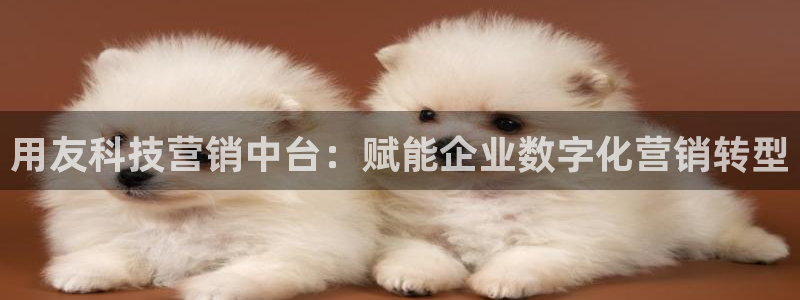 金年会App是不是钓鱼软件