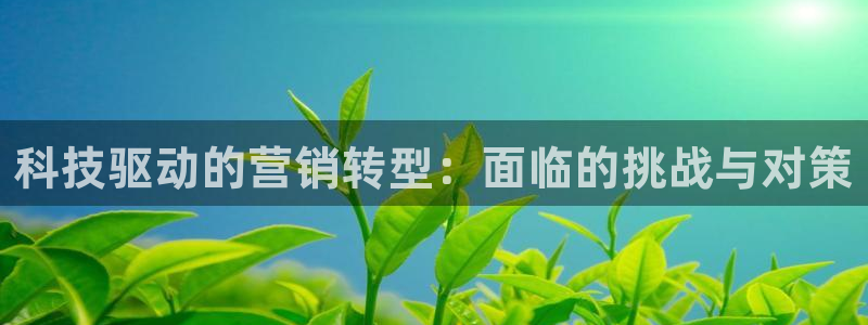 金年会官方下载app