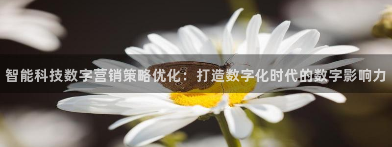金年会体育黑吗