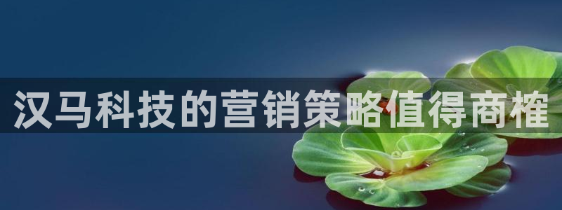 金年会网赌靠普吗