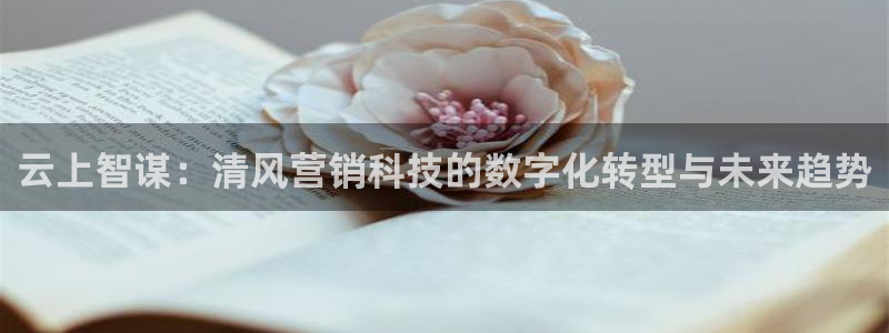 金年会提现不了