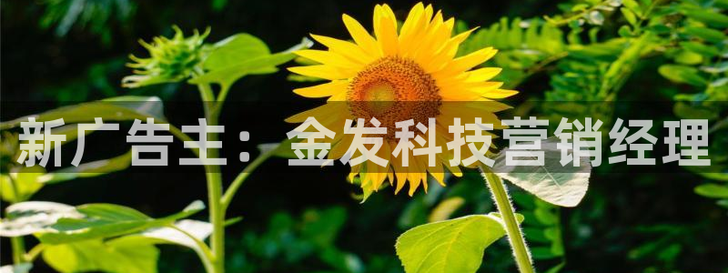 金年会体育登入入口