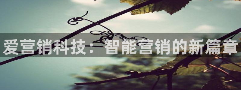 金年会com