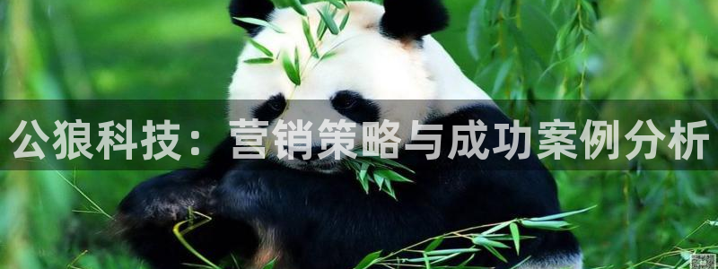 金年会网登录平台入口