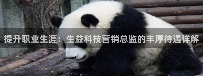 金年会体育平台官网app