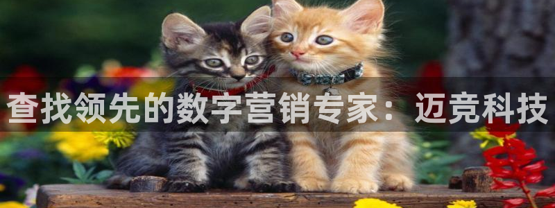 金年会qq群