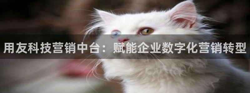 金年会体育刑事拘留常见