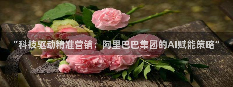 金年会体育查处