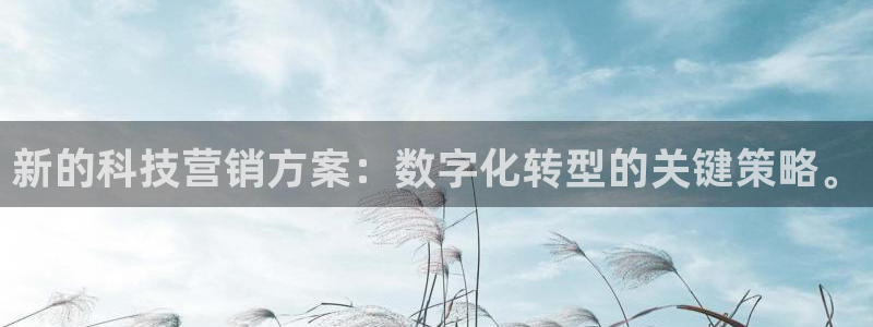 金年会官方入口登录