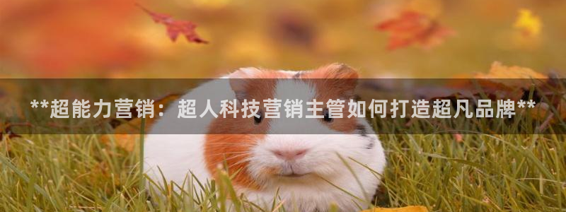 金年会体育电脑客户端登录