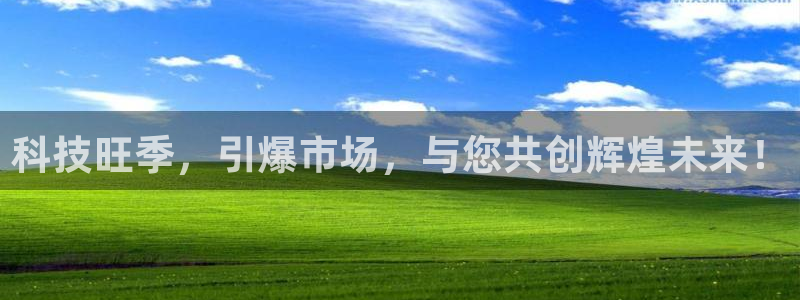 金年会App是不是钓鱼软件