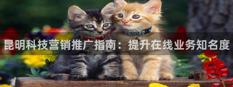 金年会电子游戏app官方网站