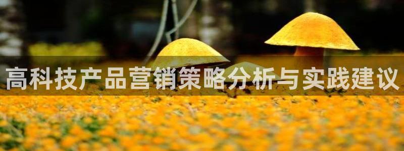 金年会官方网站入口