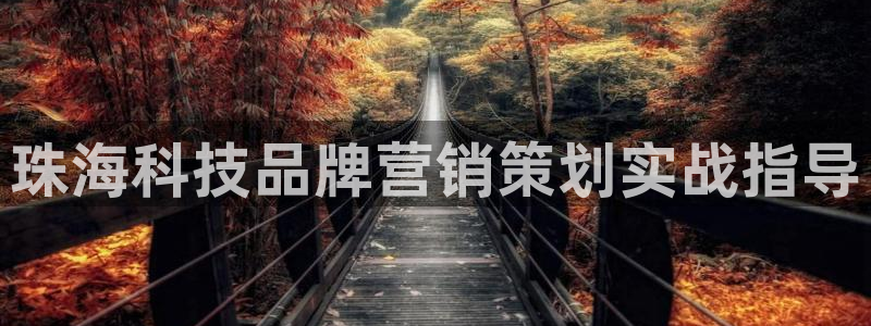 金年会电子游泳app