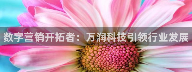 金年会VIP