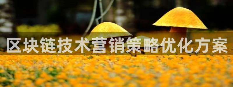 金年会体育官方平台下载