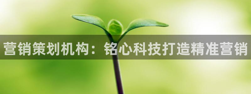 金年会官方入口2023