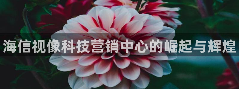 金年会体育官网登录入口下载