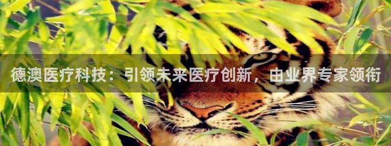 金年会体育官网