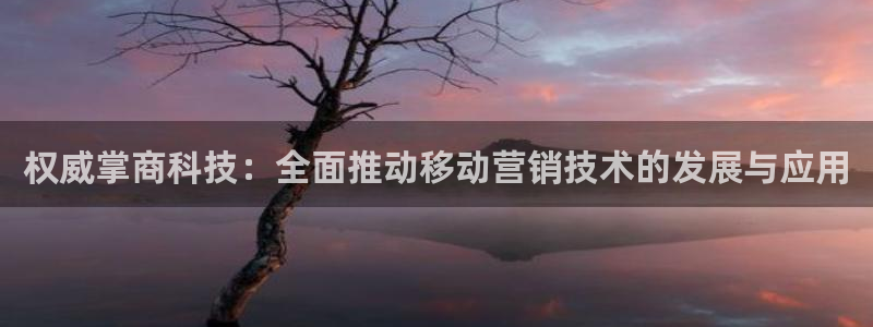 金年会体育官网app
