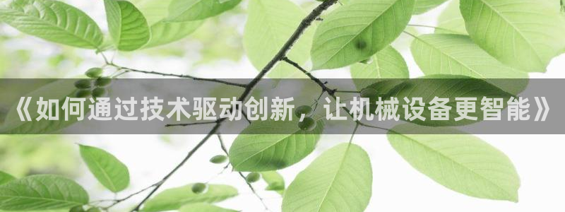 金年会体育网页登录