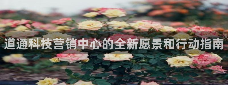 金年会体育那一年注册