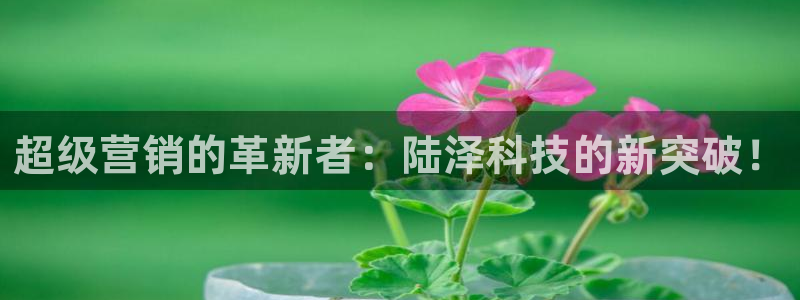 金年会pg麻将胡了几张牌