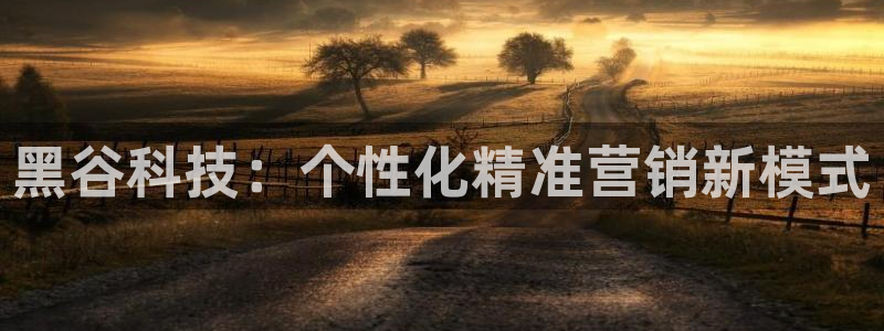 金年会官方网站入口app
