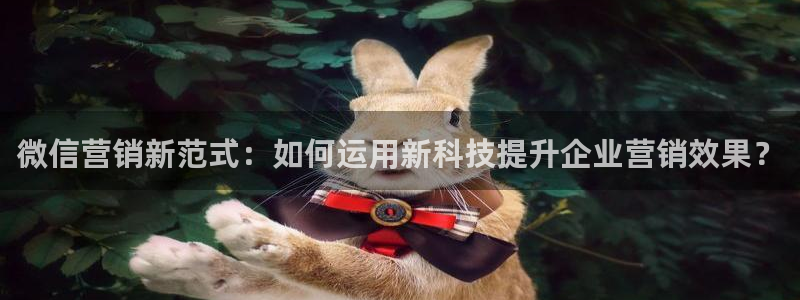 金年会体育黑吗