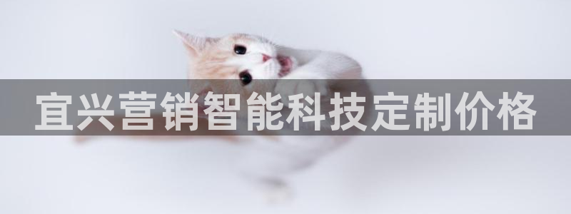 金年会app官方网站是什么