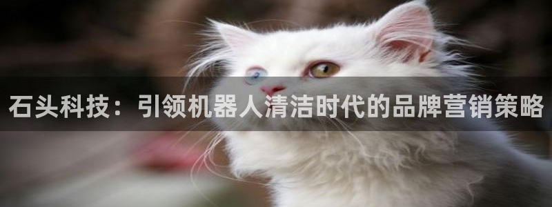 金年会下载安卓