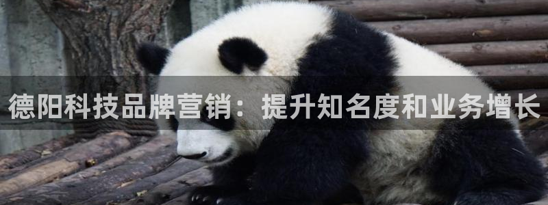 金年会体育网址登录