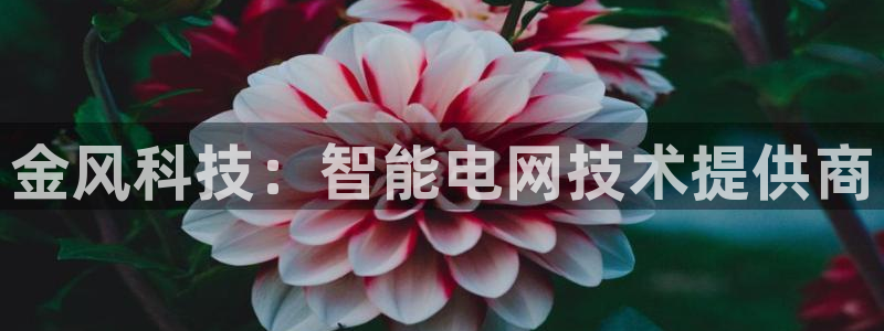 金年会官方下载