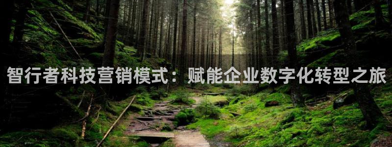 金年会los版下载