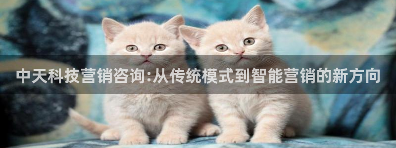金年会网站平台怎么样