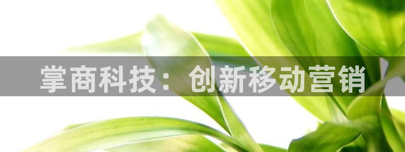 金年会网站事件后果