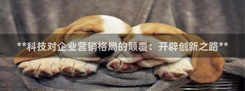 金年会体育竞彩app