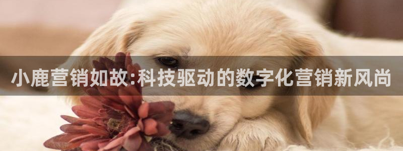 金年会体育平台连接下载
