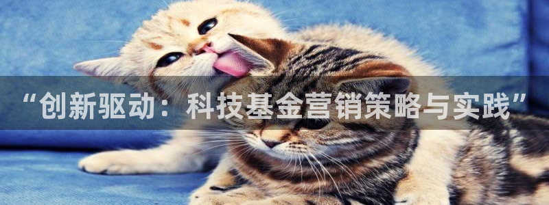 金年会ios下载