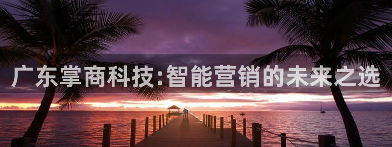 金年会网站稳不稳