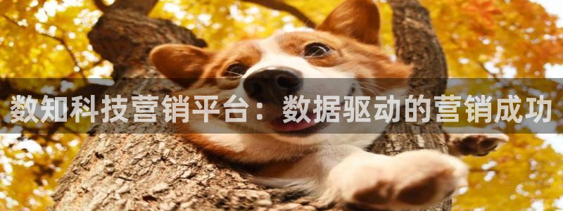 金年会信誉第一 百家号