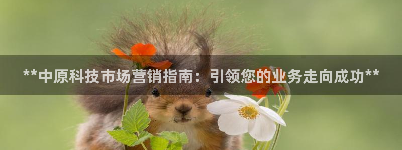 金年会体育网址登录