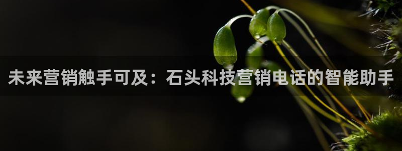 金年会体育平台怎么样