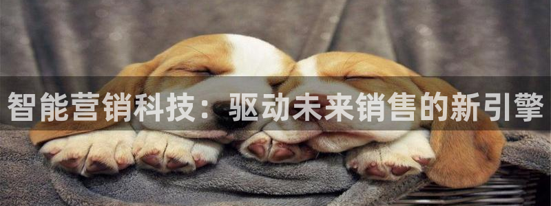 金年会网站入口登录