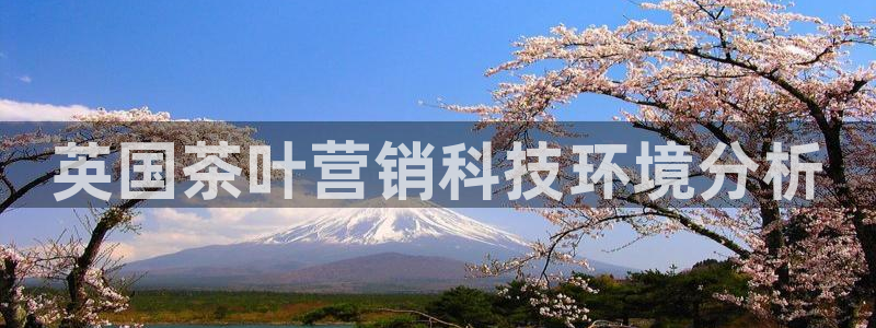 金年会手机版下载