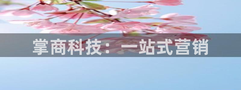 金年会体育app入口