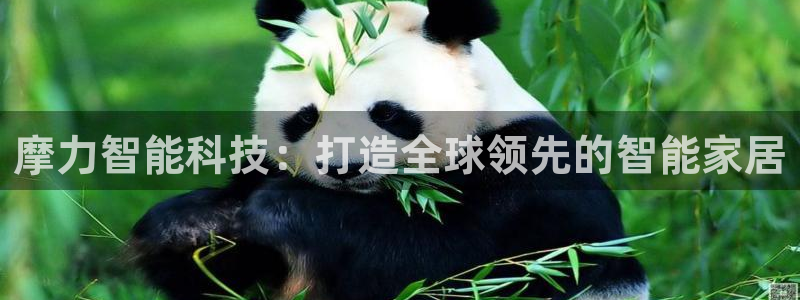 金年会体育电子官方网站