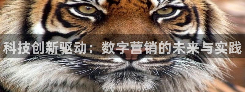 金年会体育官方微博