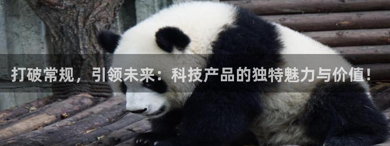 金年会官方平台是什么