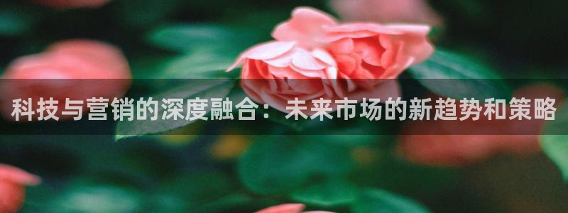 金年会体育如何